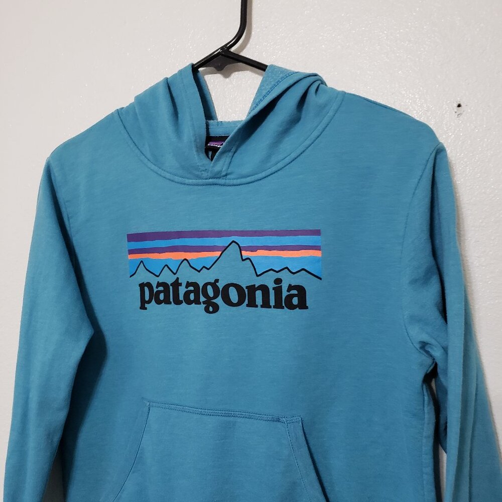 Patagonia Kids Graphic Hoodie - Picture 2 of 7